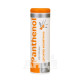 Panthenol Sea Buckthorn Powder 100 g