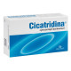 Cicatridina vaginal suppositories 2 g No. 10