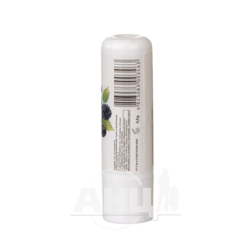 Помада гиігієнічна Dini Bubble Balm Чорниця 4.5 г