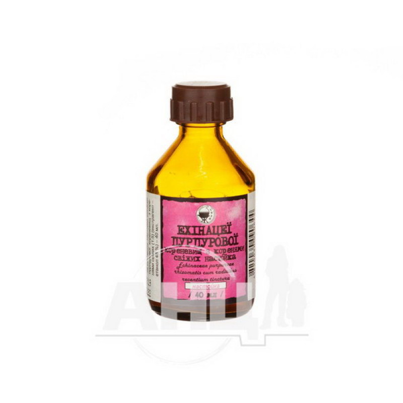Echinacea purpurea rhizomes with roots fresh tincture 40 ml bottle
