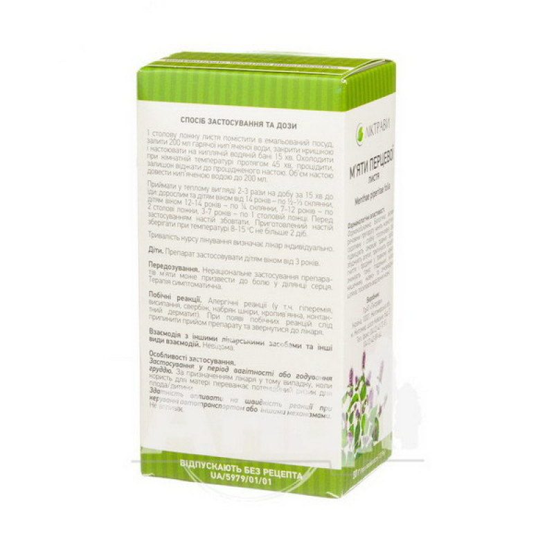 Peppermint leaves pack with inner bag 50 g