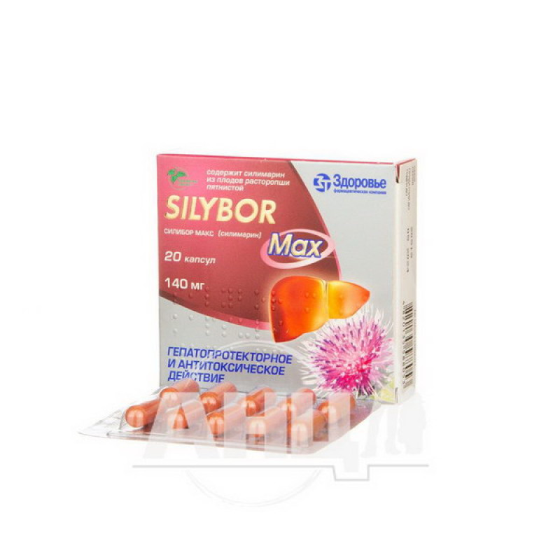 Silibor Max capsules 140 mg blister No. 20