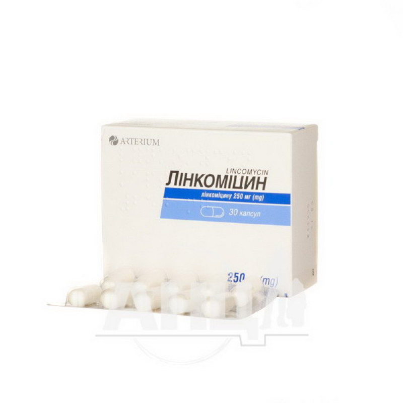 Lincomycin capsules 250 mg blister No. 30
