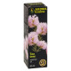 Aroma kraina tea tree essential oil 20 ml
