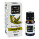 Flora Secret eucalyptus essential oil 10 ml