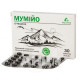 Мумійо очищене таблетки 0,2 г №30